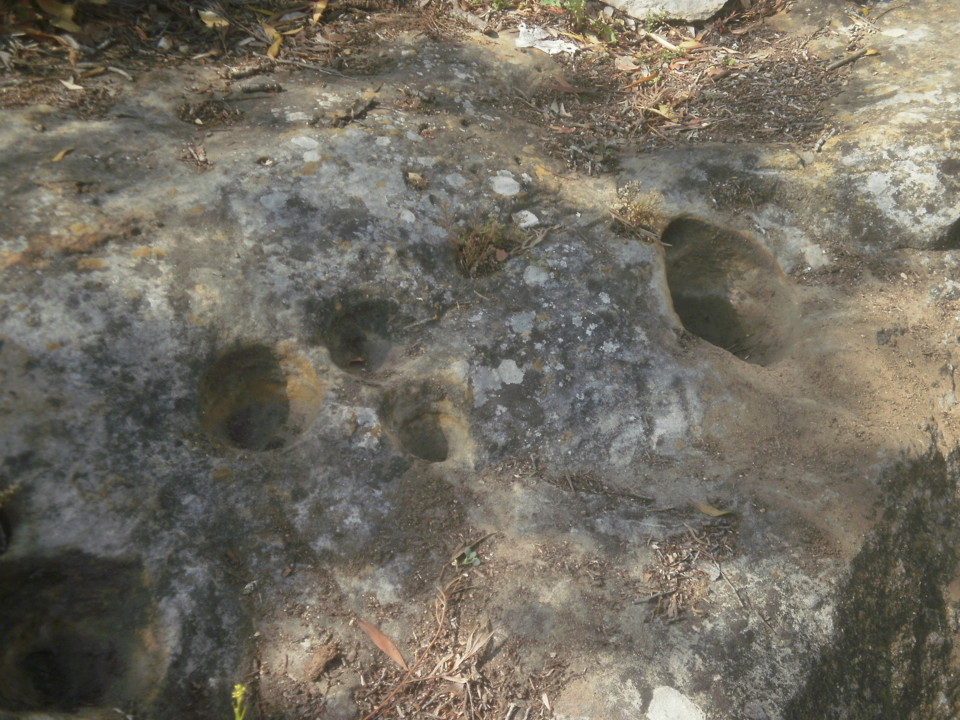 P5097450.JPG P5097450.JPG