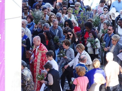 domingo de ramos 010.jpg domingo de ramos 010.jpg