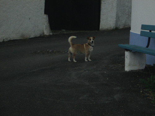 IMG_5780.JPG IMG_5780.JPG