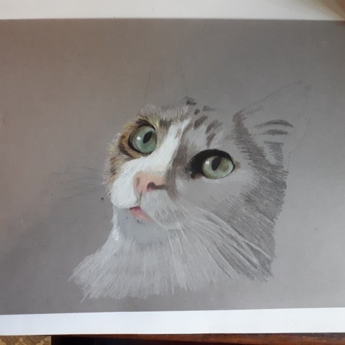 35539440_1509679822477299_4751752087430234112_n.jp