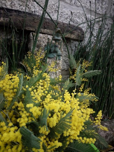 29027797_1615321881886790_1503759588967579648_n.jp