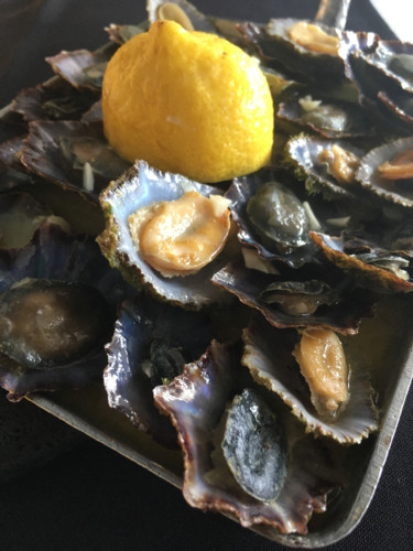 Açores_tlm (64 de 71).jpg