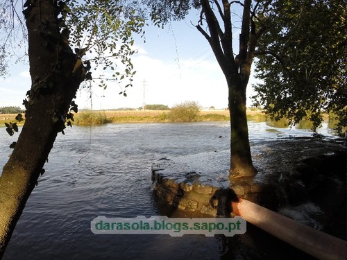 Margens rio Ave Trofa 16.JPG