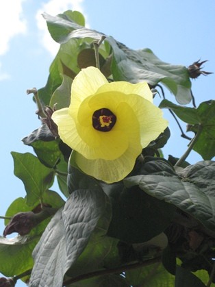 IMG_4959.JPG IMG_4959.JPG