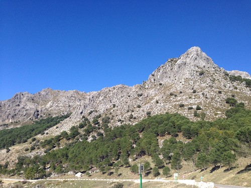 IMG_3860.JPG IMG_3860.JPG