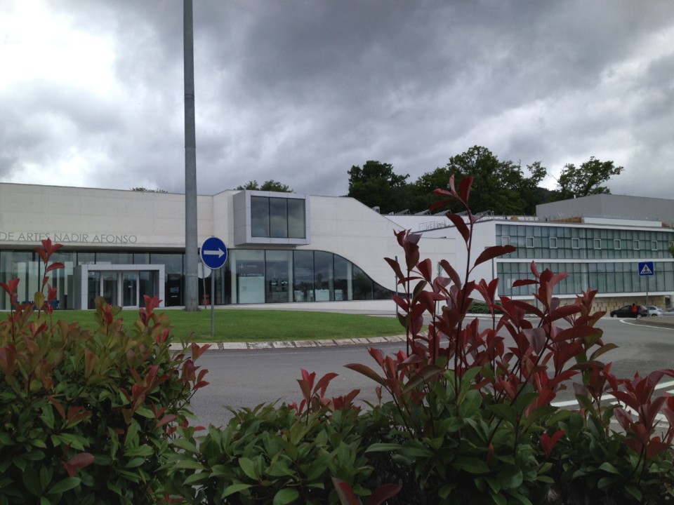 IMG_4309.JPG IMG_4309.JPG