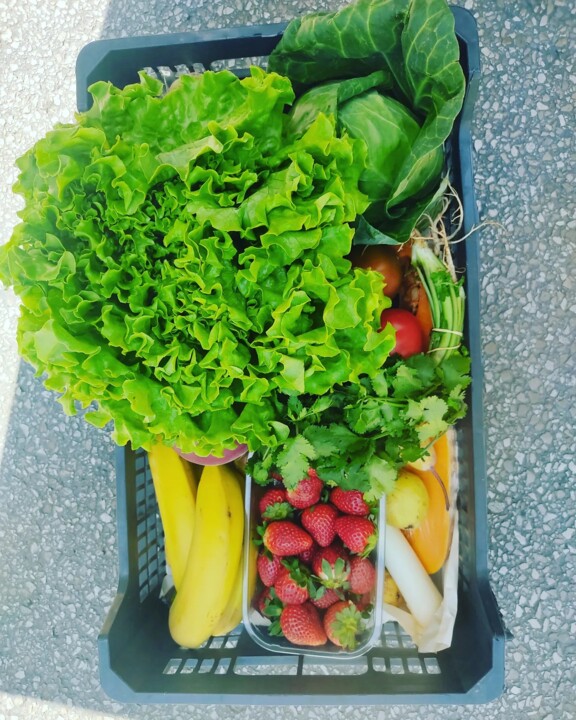 442422637_831296872361058_4044182746421848226_n.jp