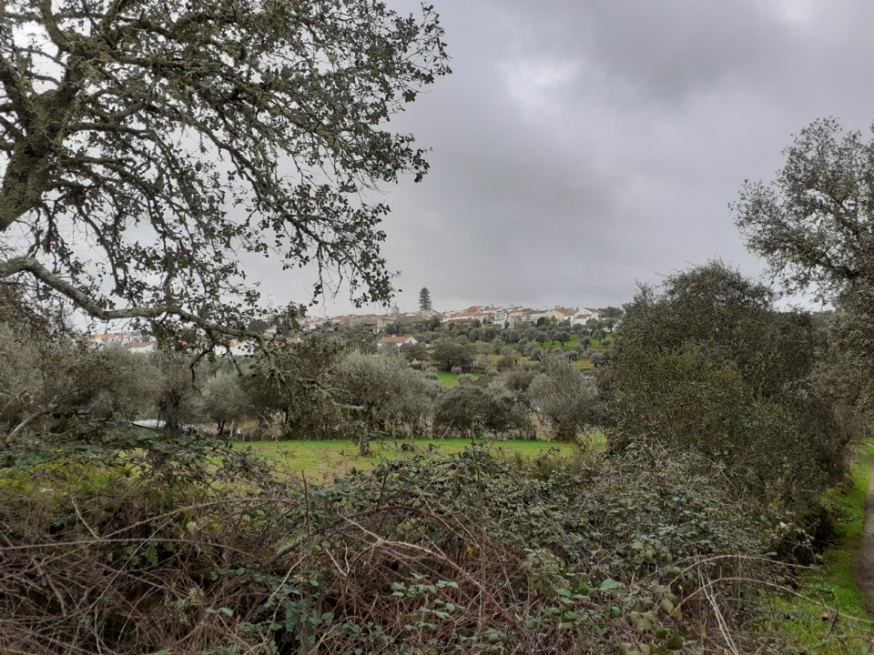 Aldeia. Vista a partir do Caminho da Baganha. Foto Original. 2021.02.01.jpg