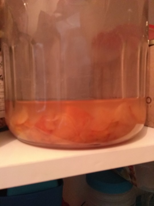 IMG_20190831_122432.jpg IMG_20190831_122432.jpg