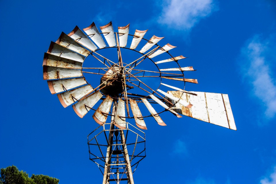 trilho das vinhas-47.jpg