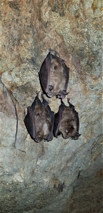 20191020_113519.jpg 20191020_113519.jpg