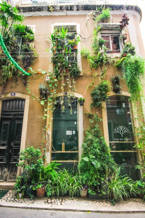 rua da silva 4.jpg rua da silva 4.jpg