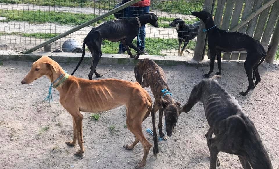 240493250_4885269271501932_4386960123267944541_n.j