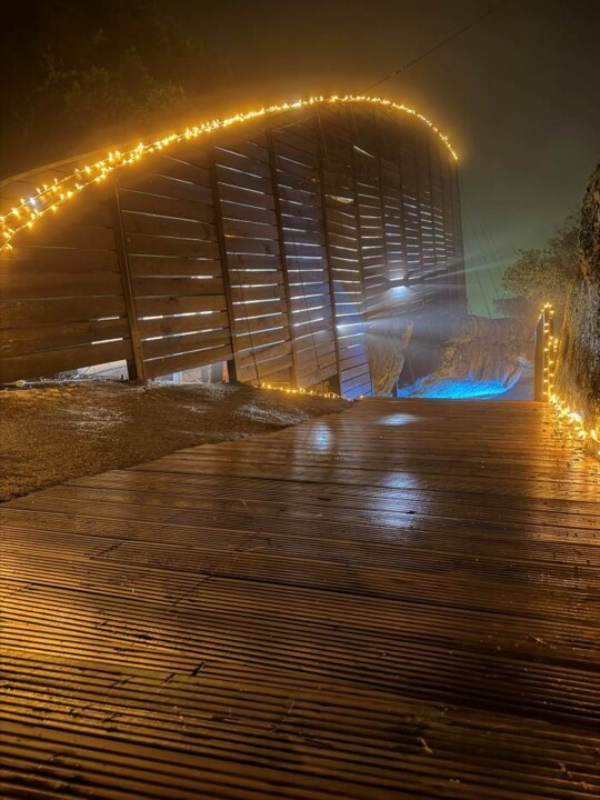 Floresta Encantada -Balanço Final (7).jpg