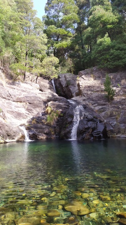 IMG_20190915_135210.jpg IMG_20190915_135210.jpg