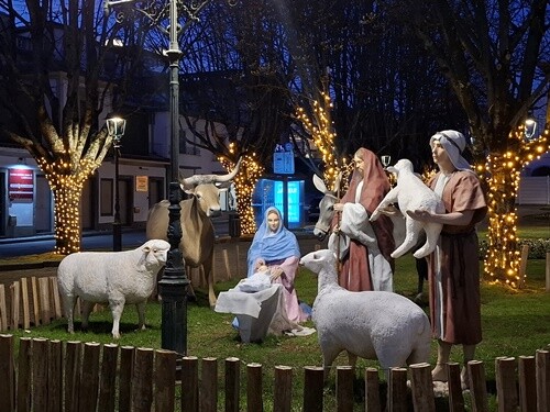 24a_Caminhada_à_Tarde (39).jpg