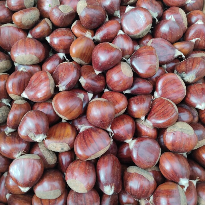 573335697_18509375494066958_3917490874262639054_n.