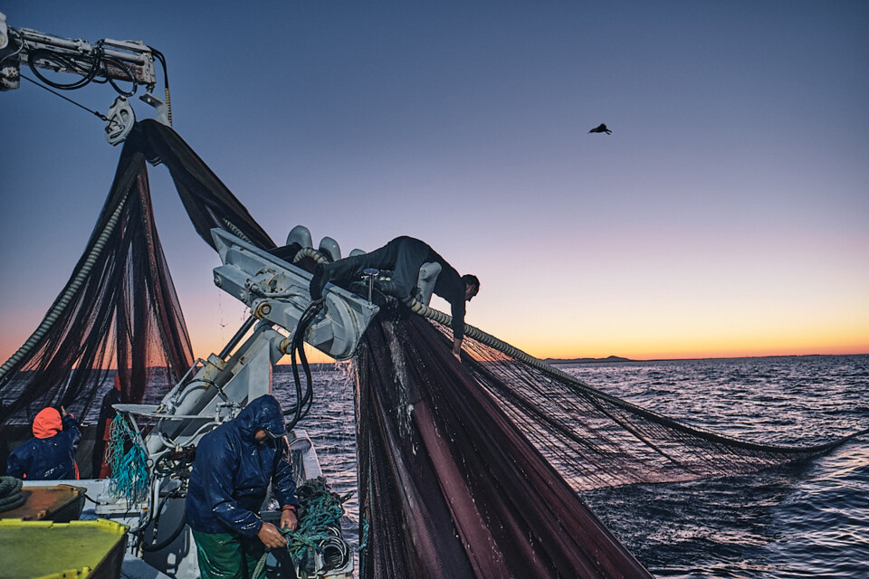 descarregar (54).jpg