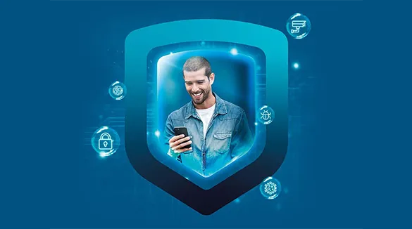 meo-net-segura.webp