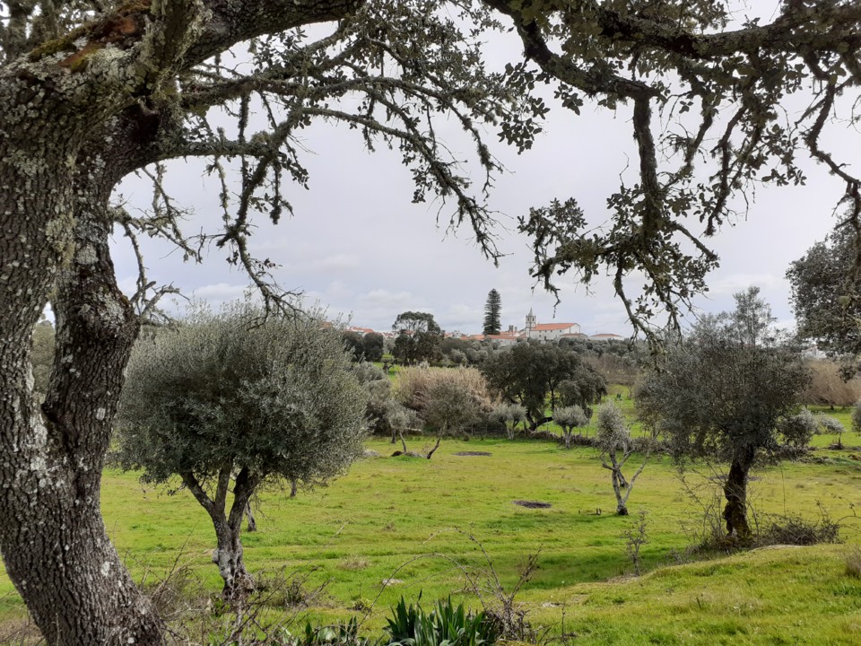 Aldeia. Vista Tapada das Freiras. Foto Original. 2021.02.21.jpg