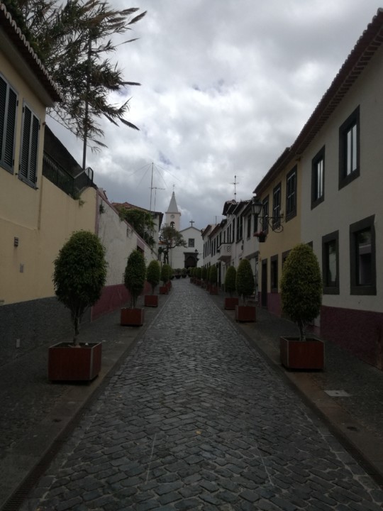 IMG_20190419_151835.jpg IMG_20190419_151835.jpg