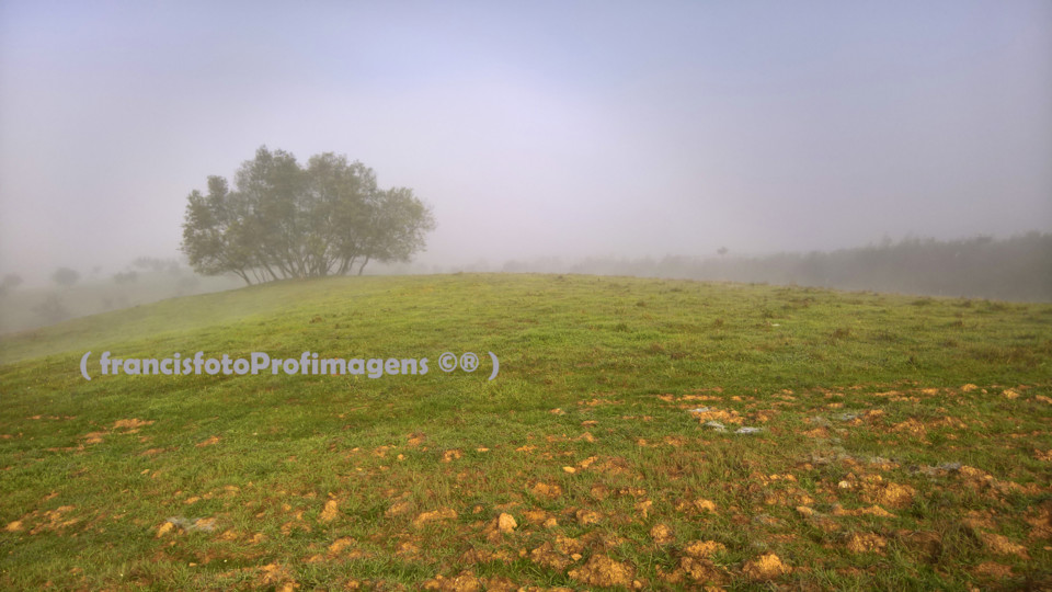 Calma e leda madrugada.jpg