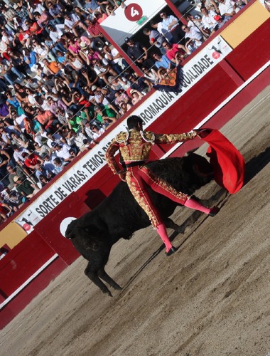 Bom momento de Miguel Ángel Perera...