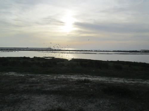 IMG_0972.JPG IMG_0972.JPG