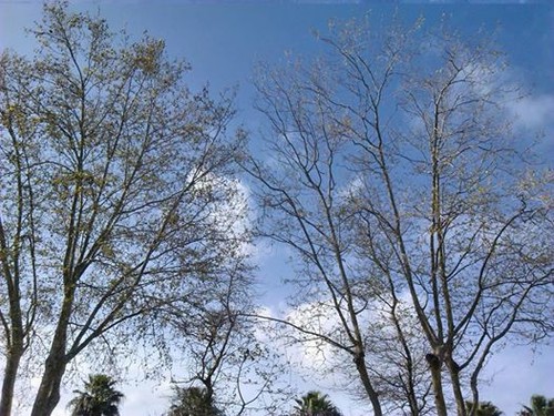 12417535_10207183650248197_7918688146398387895_n.j