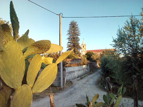 Original DAPL Aldeia Igreja Araucária 2017jpg