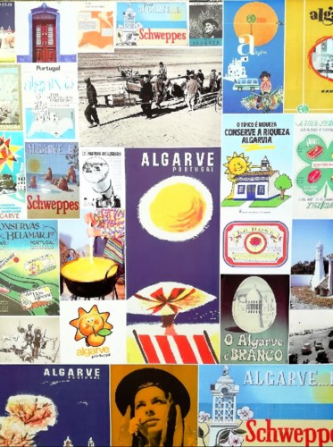 41954799_758907547782145_301674173544005632_n_Phot