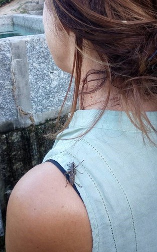 14333851_1076387302446920_5622384648827432243_n.jp