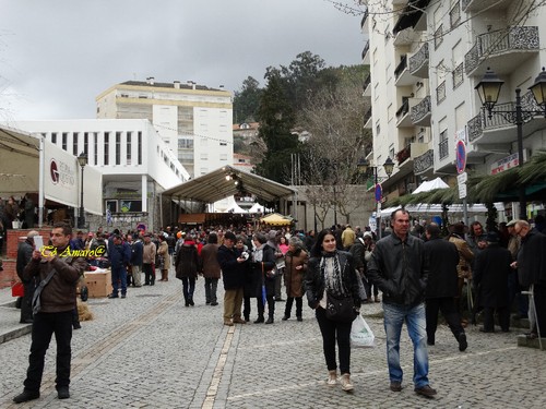 Feira do Queijo Em Seia !!! 262.jpg