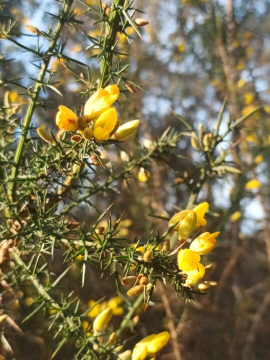 Não me canso disto inverno2.jpg