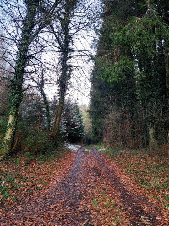 Messenger_creation_CC2638FE-8DE8-430E-A587-81073CE