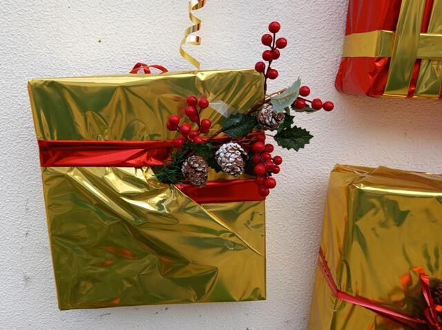 20231129_090117 - Cópia.jpg