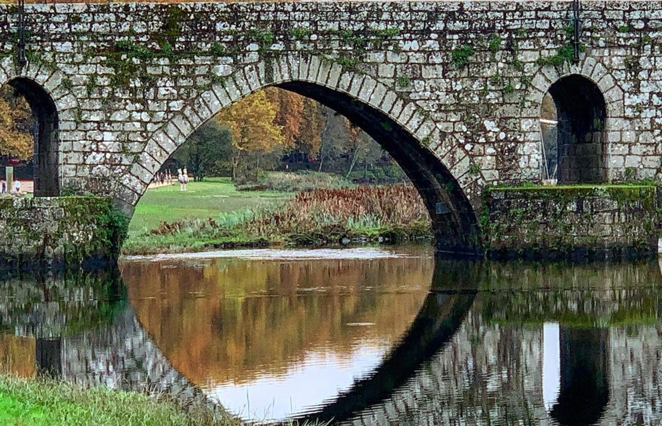 PNPGeresPyrrait (43).jpeg