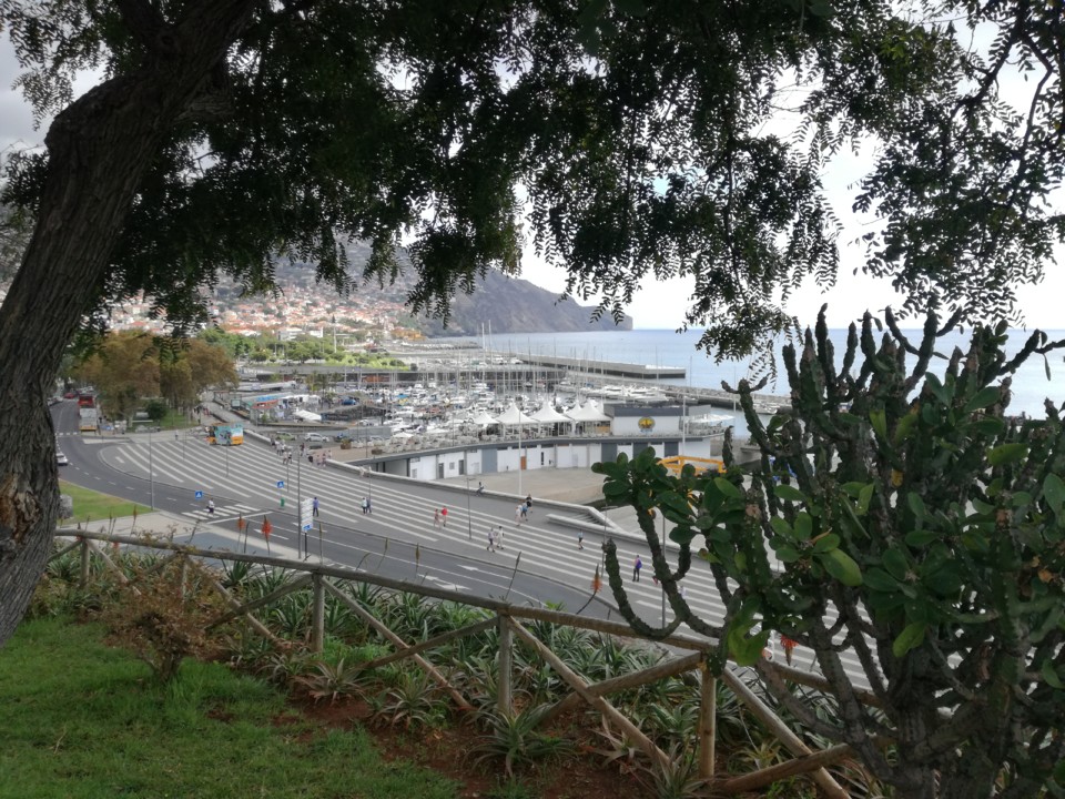 IMG_20191103_113809.jpg IMG_20191103_113809.jpg