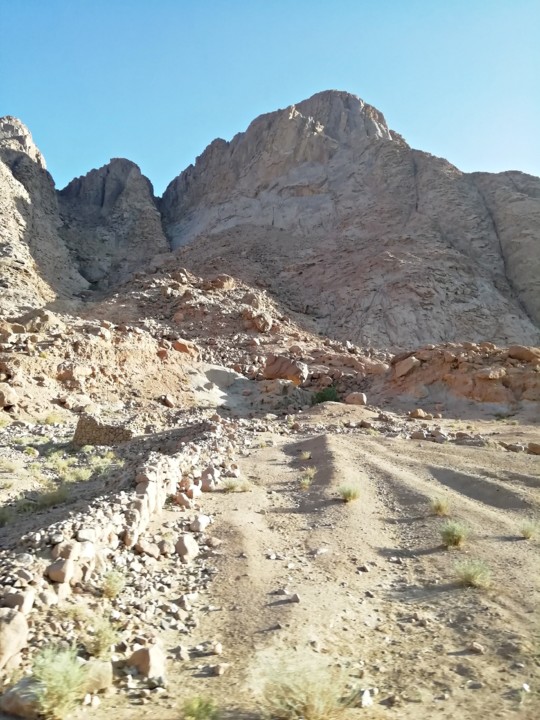 deserto moises 7.jpg