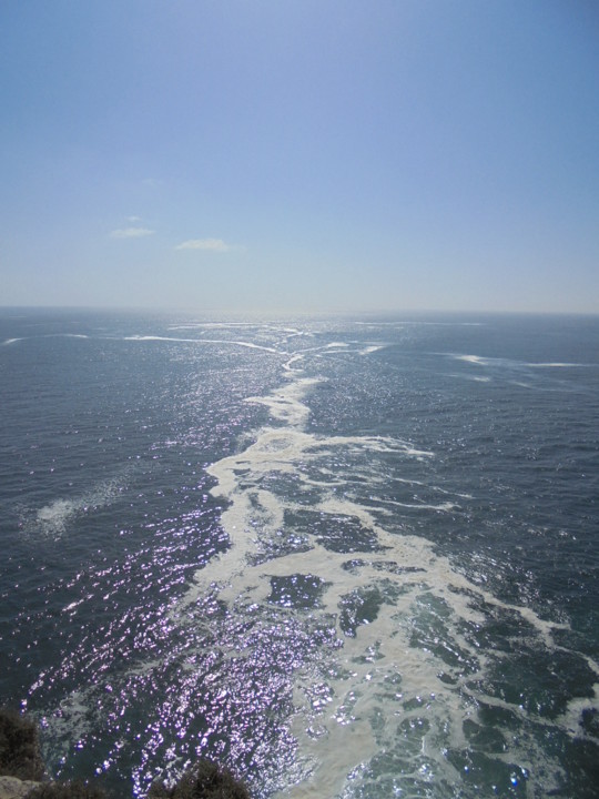 caminho... caminho...