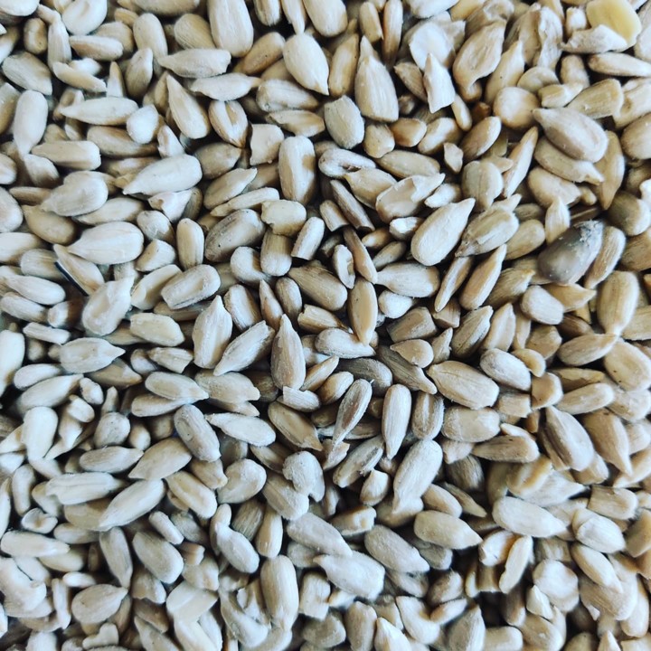 193118692_2032413166898434_1118650369062808303_n.j