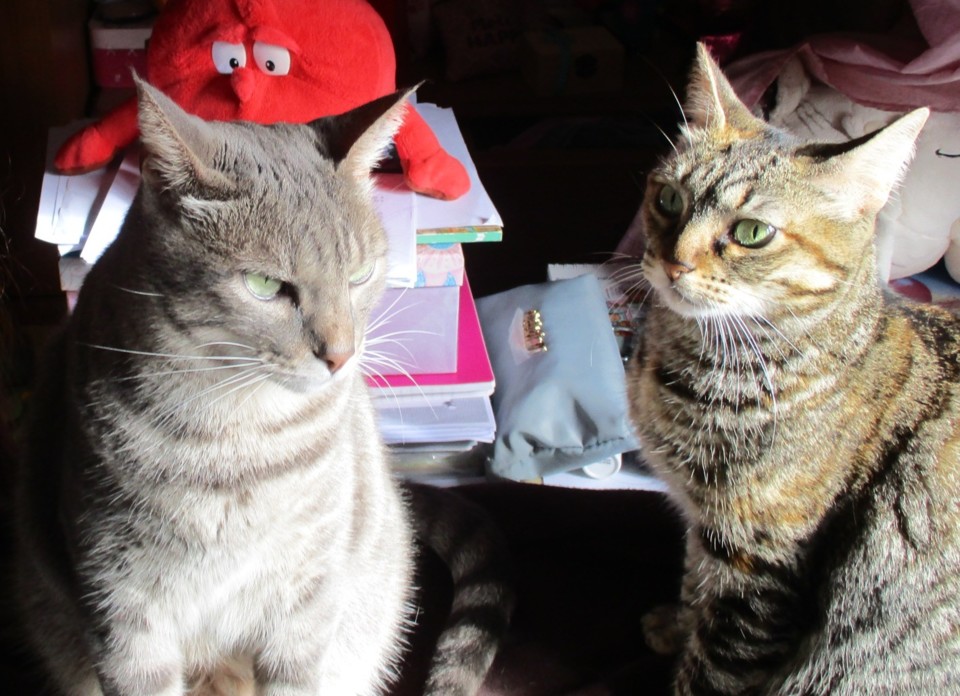 IMG_8418cópia.JPG IMG_8418cópia.JPG