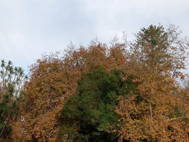 259606329_1234583520396676_7359875686895844176_n.j