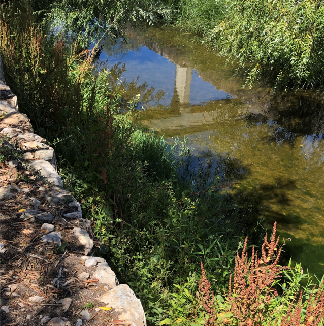 2022-03-24 00_25_54-IMG_1598.JPG ‎- Fotografias.