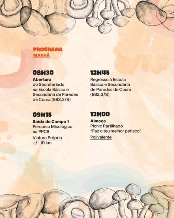 574206525_18090356125906799_4104912918950329835_n.