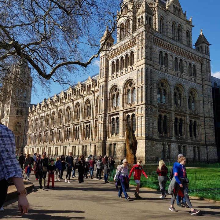 WhatsApp Image 2019-04-01 at 20.09.08.jpeg