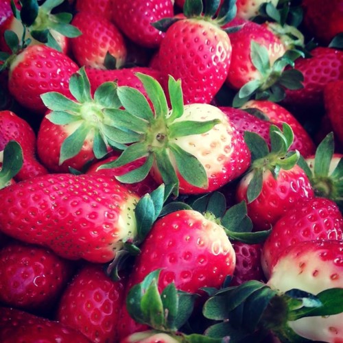 53195416_1317475438392214_5003980419914268672_n.jp