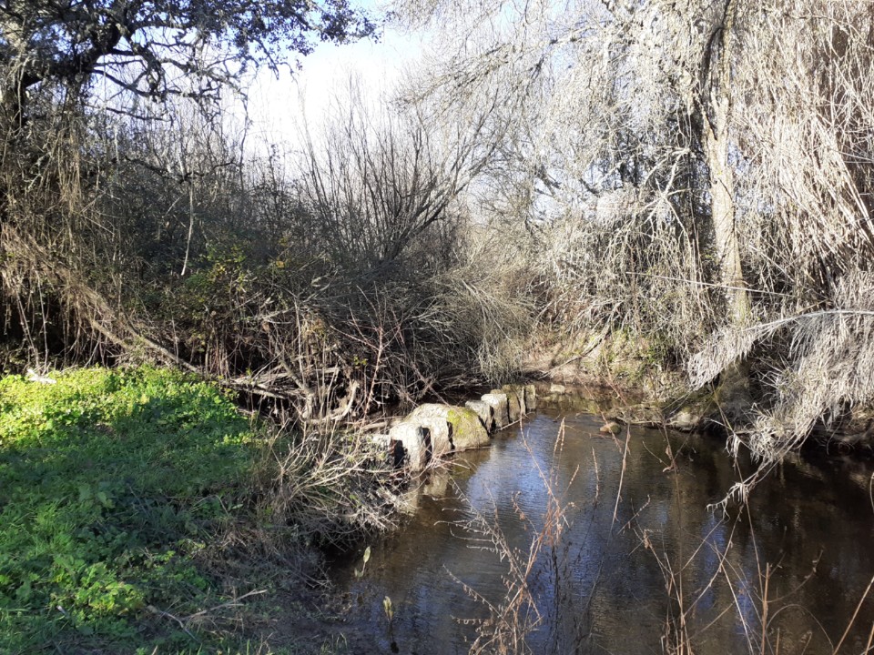 Passadeiras. Foto original. 2022.01.21.jpg