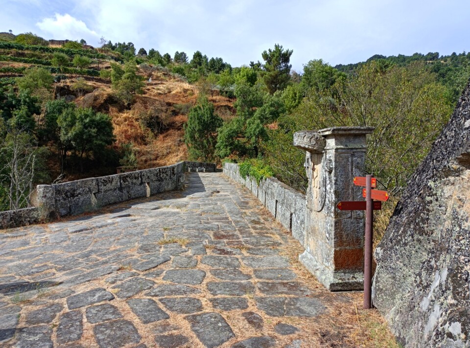 540709913_4057277677873109_5725028794093445863_n.j