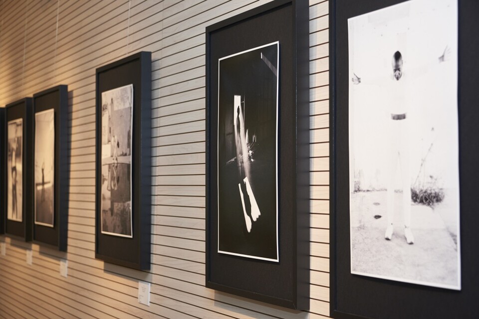 Inauguração Exposição Josefa Searle 9.jpg